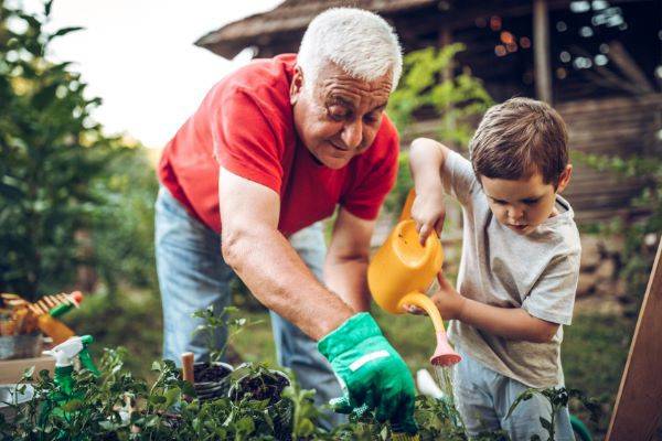 Grandfather gardening with grandson