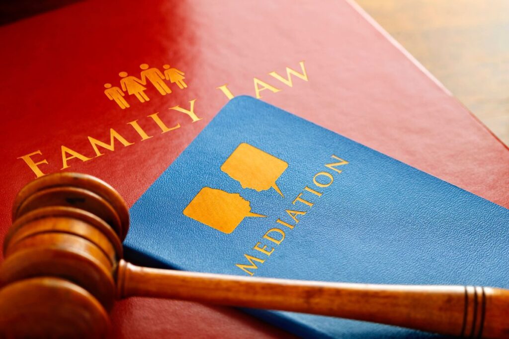 Family Law and Mediation Books