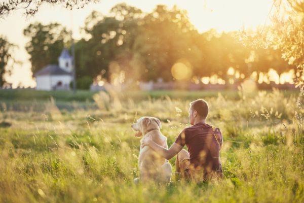 Man sitting in field with dog at sunset