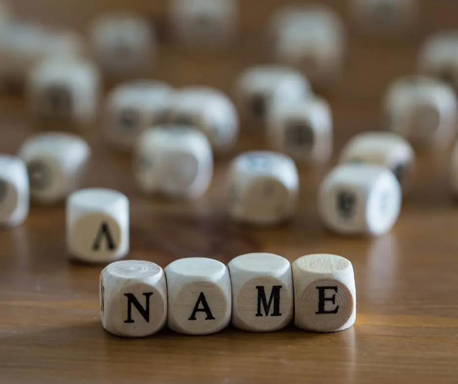 name changes after divorce : 4 die lined up to form the word NAME