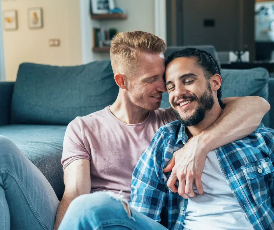 domestic partnership: a happy gay couple