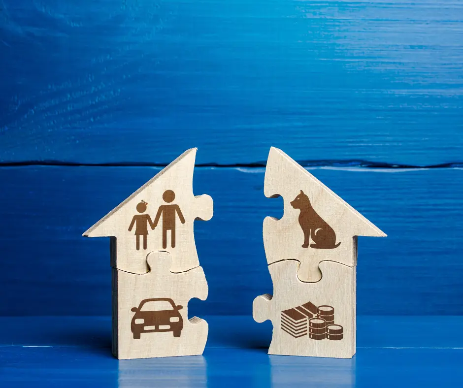 pet ownership and divorce : a wooden puzzle house is divided into half. 